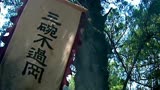 三碗不过岗，打虎英雄武松精彩片段，看看武松打了几拳把老虎放