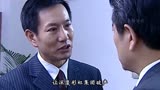 国产高分剧！人间百态《罪域》第十四集