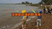 深圳发现一处免费赶海的野海滩，地址直接放在视频后面