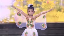 陕西小百合艺术学校舞蹈《蝴蝶泉边》