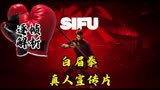“硬核解析之《师父》真人版宣传片动作设计，白眉拳有多黑