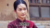 #白鹿原 #张嘉译 #电视剧解说 #何冰