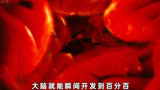 科幻片 永无止境1/3