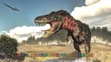 动物百科·暴龙（Tyrosaurus rex）