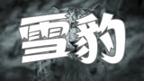 雪豹 国际版预告片1 (中文字幕)