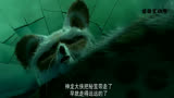 功夫熊猫大龙看不上阿宝，口出狂言，结果瞬间被打脸_1696910595886718112