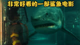 非常好看的一部灾难逃生电影：大海啸之鲨口逃生