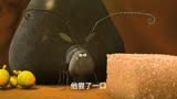 黑蚁吃完方糖竟然疯狂产卵！！#昆虫总动员