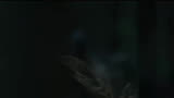 我是第一次看哈利