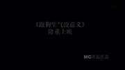 MC洪磊《跟狗生气没意义》微电影加MV