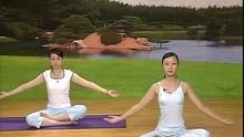 瑜伽视频教程 初级瑜珈 入门基础教程 瑜珈初级