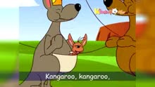 0a-3 Kangaroo