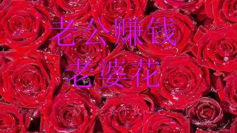 老公赚钱老婆花歌曲图片