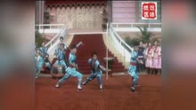 1982 台庆 十三太保 “双刀”廖伟雄 ？VS“缨枪”石修
