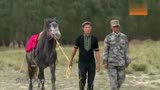 中国梦想秀：男孩梦想加入骑兵连，可小马却不幸受伤！
