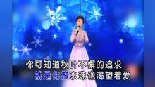 [图]叶翠 我像雪花天上来(现场版)