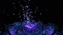 蓝色花开，梦幻舞台背景投影素材  88vj素材网站
