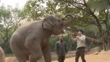 《奇妙的朋友》精彩推荐：黄轩倪妮被大象偷袭？
