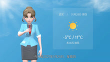 武汉市2021年1月28日天气预报