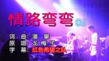 龙梅子-情路弯弯DJ舞曲版(KTV版)