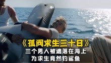 真实事件改编！《孤筏求生三十日》电影：为求生竟然钓鲨鱼？
