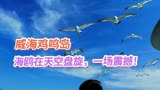 《爸爸去哪儿》捧红了威海鸡鸣岛