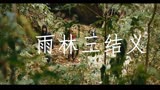 【终极笔记|铁三角】终极笔记之雨林三结义