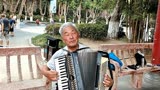 华师俞教授演奏《少林寺》主题曲，技术精湛、堪称第一，真好听！