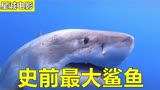 史前巨兽，地球上最大的鲨鱼！ 惊悚电影《巨齿鲨》