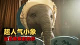 小飞象：高分治愈系奇幻电影，看会飞的小象上演在线卖萌