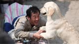 一部催泪电影《忠爱无言》，狗与老农的一生，看哭了很多人