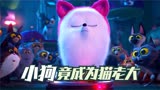 狗狗假扮成猫咪，竟然还成为了猫咪中的女王《爱宠大机密2》