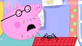 小猪佩奇：蜘蛛长得真大，猪爸爸也有点害怕去叫猪妈妈了！