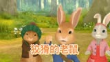 彼得兔之狡猾的老鼠，0—6岁儿童早教启蒙休闲益智动画片解说推荐