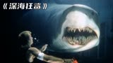 人类拿鲨鱼做研究，鲨鱼拿人类当食物，惊悚片《深海狂鲨》