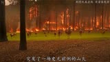 2023开年第一部灾难大片《狼群》更新了。