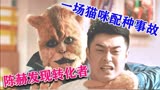 影视解说：陈赫王子文版动物管理局，剧情荒诞滑稽却很真实