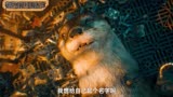 银河护卫队3原来火箭浣熊的名字承载了这么多秘密