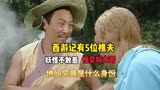 西游记有5位樵夫，妖怪都不敢惹，他们究竟是什么身份呢？
