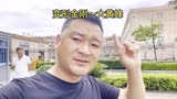 大黄蜂