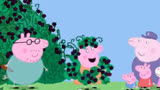 小猪佩奇：猪妈妈不小心掉进灌木丛里面，猪爸爸和猪爷爷齐心营救
