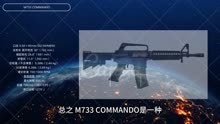 M733 COMMANDO揭秘神秘的特种部队装备