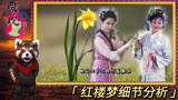 红楼梦81：袭人和晴雯差距在哪？袭人为何排在晴雯身后？