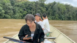 湄公河行动 热带雨林