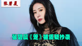 张碧晨：《消失的她》片尾曲引观众泪崩，为何会被质疑抄袭？
