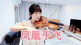 甄嬛传的主题曲，小提琴演奏 刘欢《凤凰于飞》小提琴谱