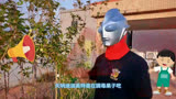 迪迦奥特曼