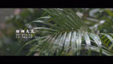 《点心之路》插曲MV：指向天空-康子奇、绮越