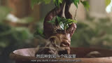 好可爱，想谈