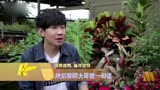[2015电影HD]《消失的爱人》林俊杰首次“触电” 演技获赞